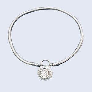 Like NEW Pandora Charm Bracelet w/double link charm
